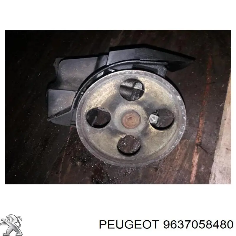 9637058480 Peugeot/Citroen 