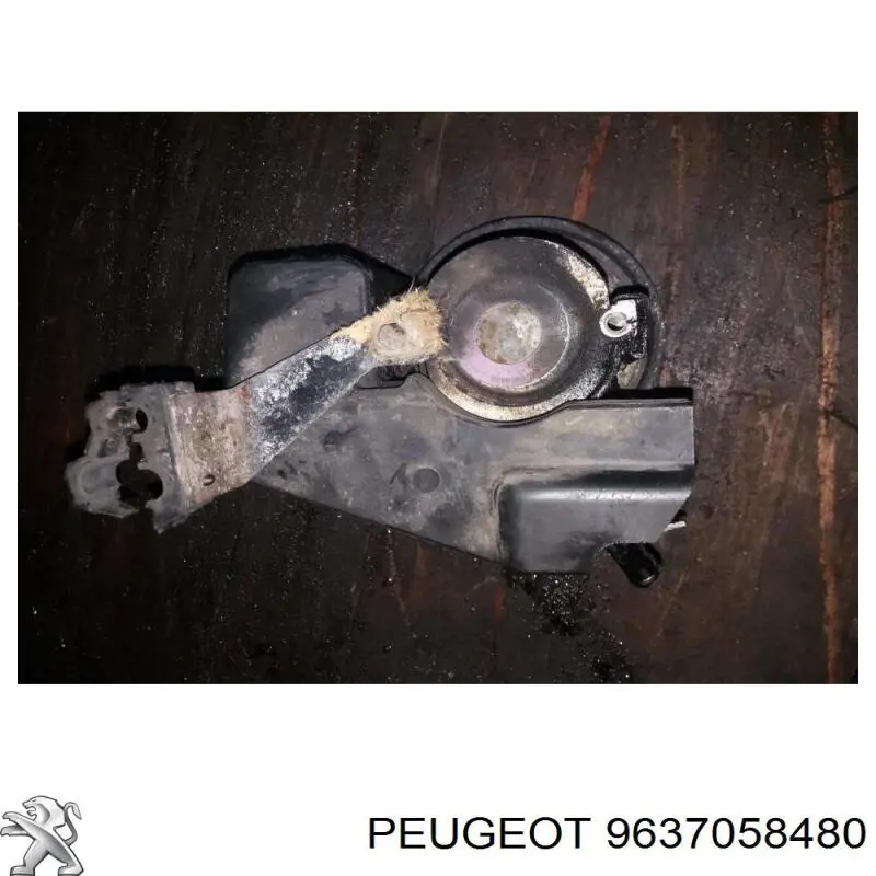Comprar 9637058480 Peugeot/Citroen 