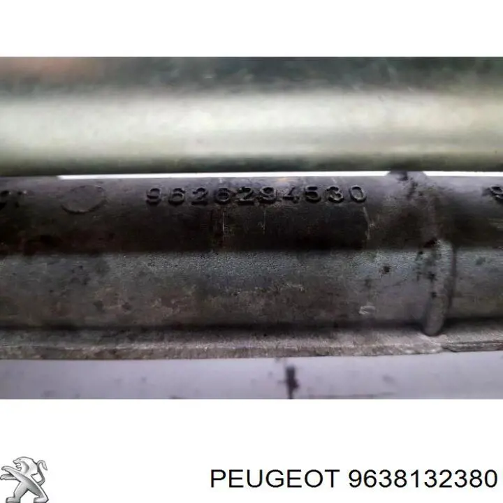 9638132380 Peugeot/Citroen