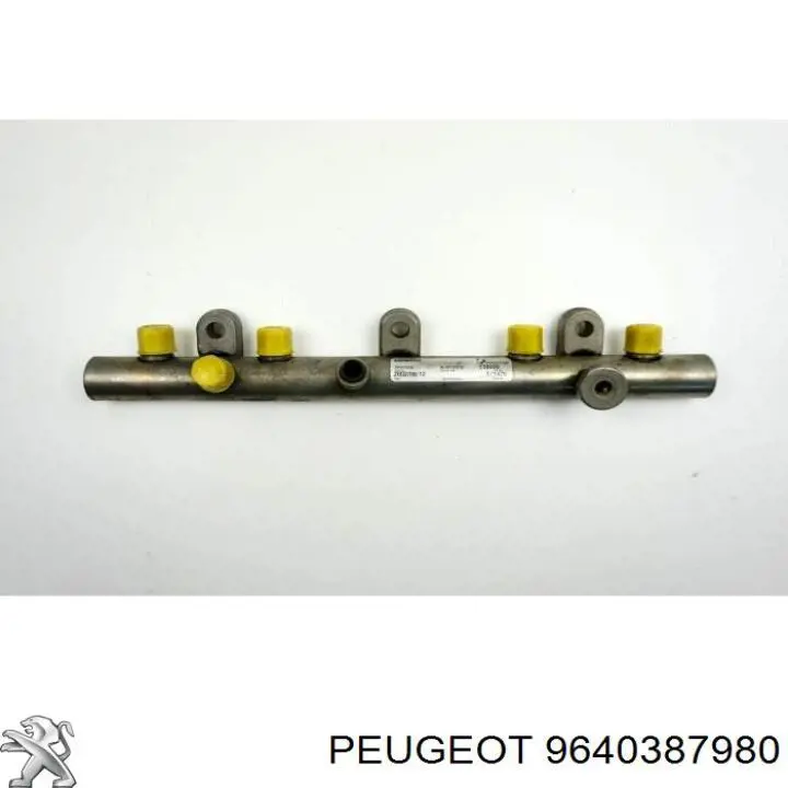9640387980 Peugeot/Citroen rampa de inyectores