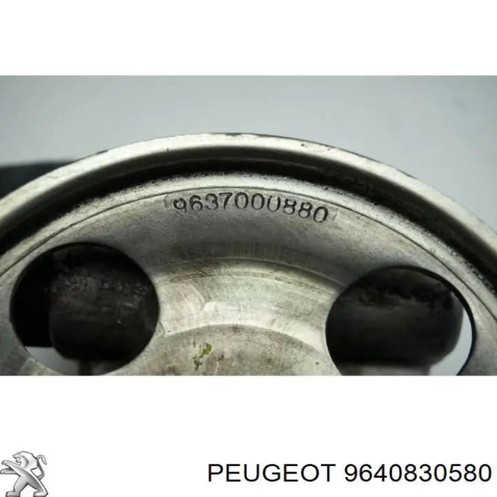 9640830580 Peugeot/Citroen bomba hidráulica de dirección