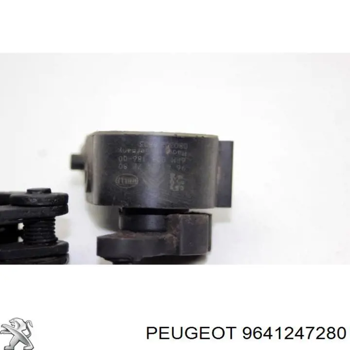 Comprar 9641247280 Peugeot/Citroen 