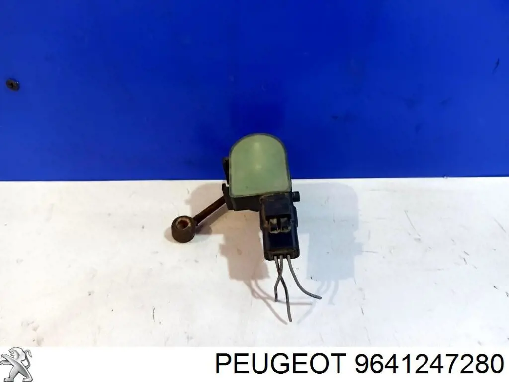 9641247280 Peugeot/Citroen 