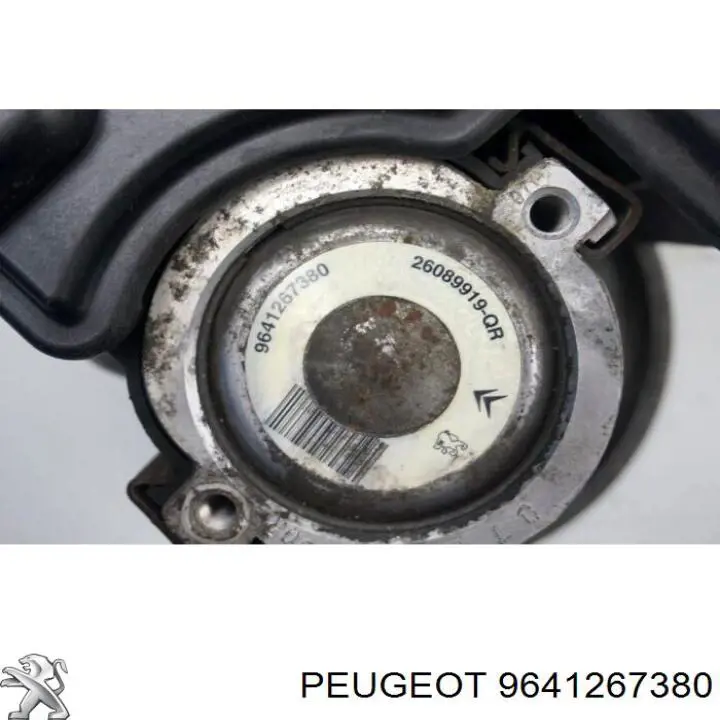 9641267380 Peugeot/Citroen bomba hidráulica de dirección