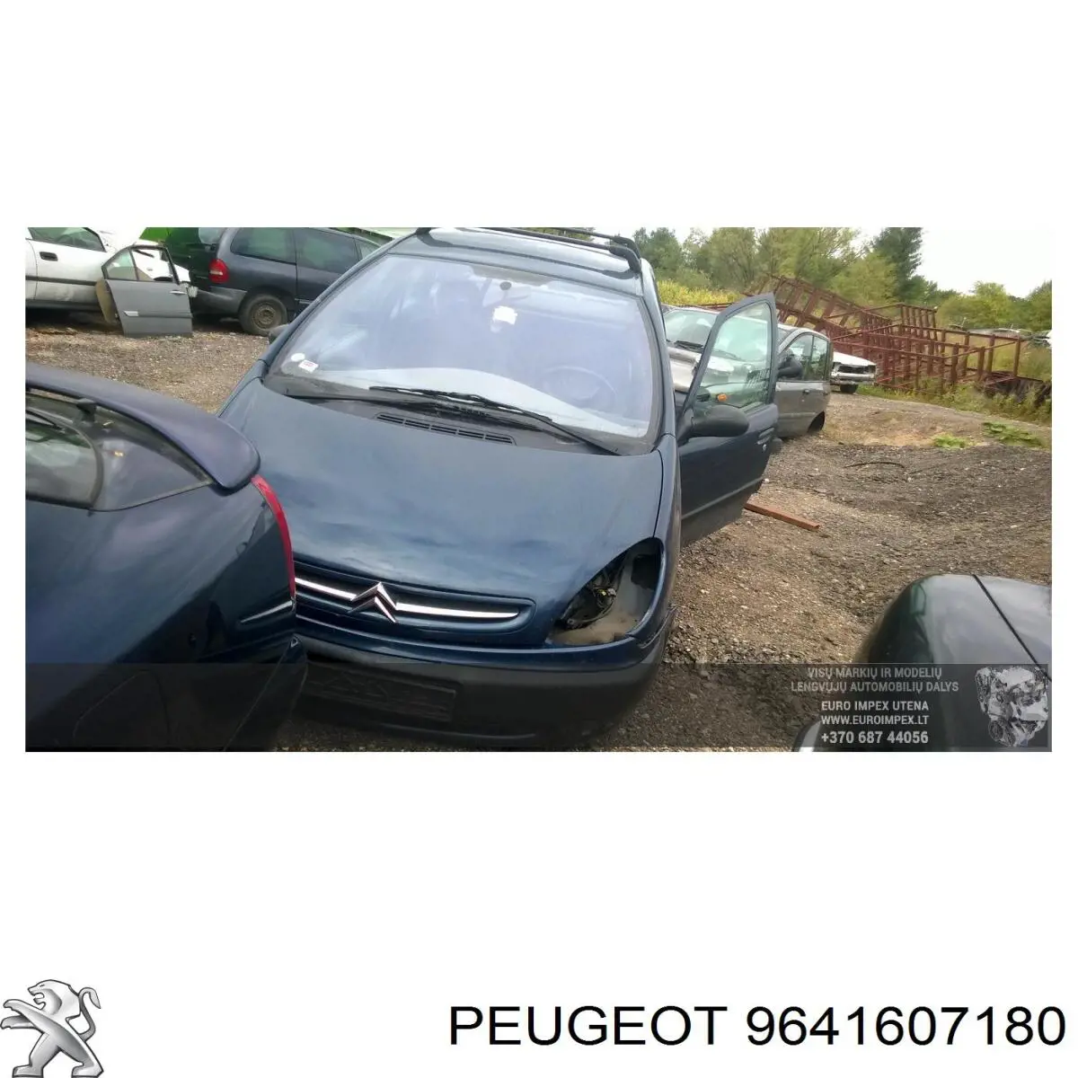 Comprar 9641607180 Peugeot/Citroen 