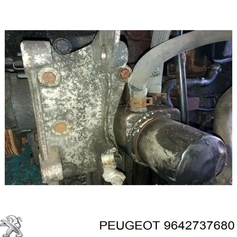 9642737680 Peugeot/Citroen