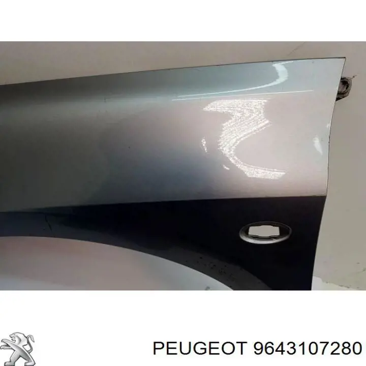 9643107280 Peugeot/Citroen guardabarros delantero izquierdo