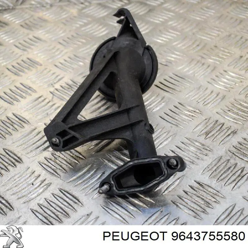 9643755580 Peugeot/Citroen Tubo de aspiración de aceite