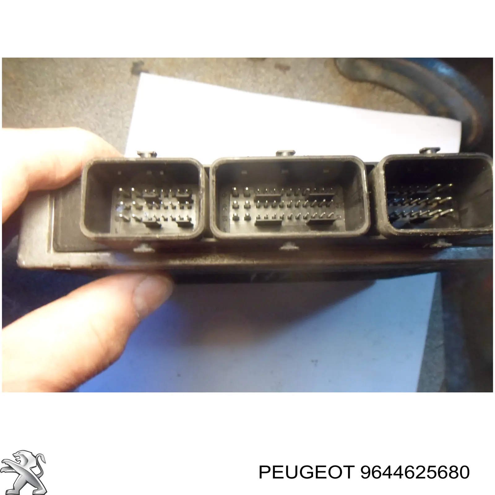 Comprar 9644625680 Peugeot/Citroen ECU