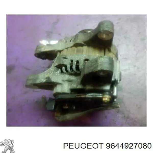 Comprar 9644927080 Peugeot/Citroen Dynamo