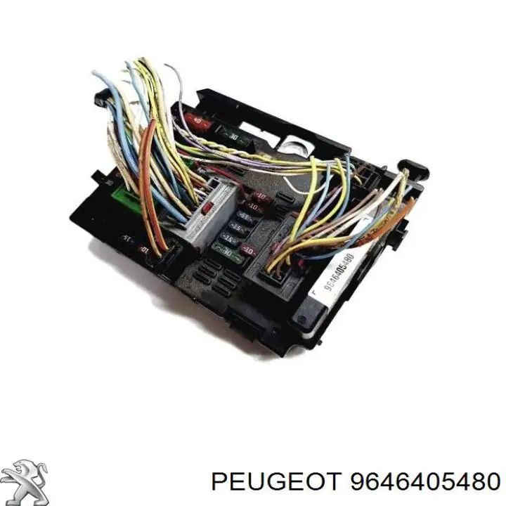 Caja de fusibles trasera interior Peugeot/Citroen 9646405480 precio, desde 84,22 EUR