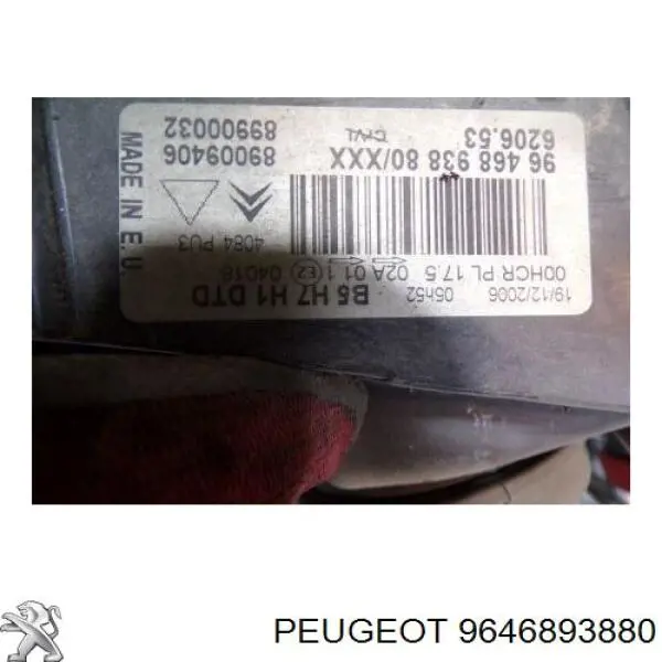 9646893880 Peugeot/Citroen 