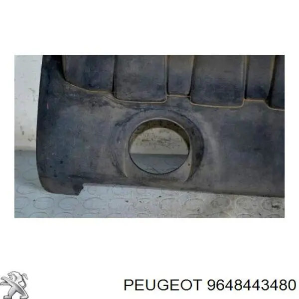 Comprar 9648443480 Peugeot/Citroen 