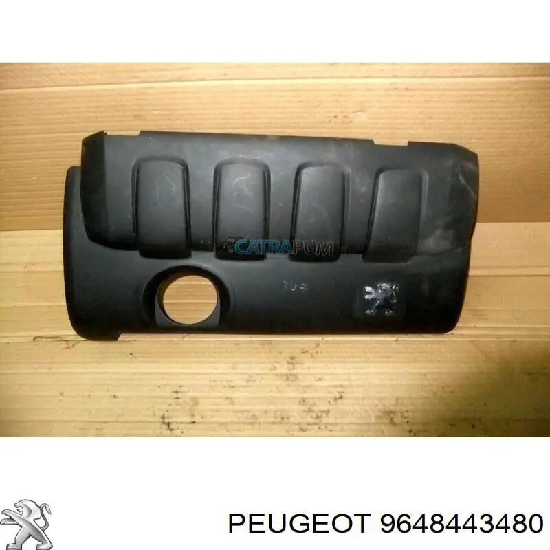  9648443480 Peugeot/Citroen