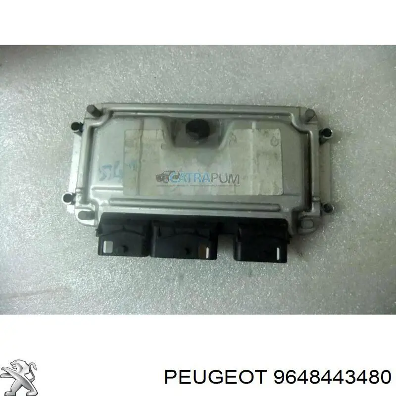9648443480 Peugeot/Citroen 