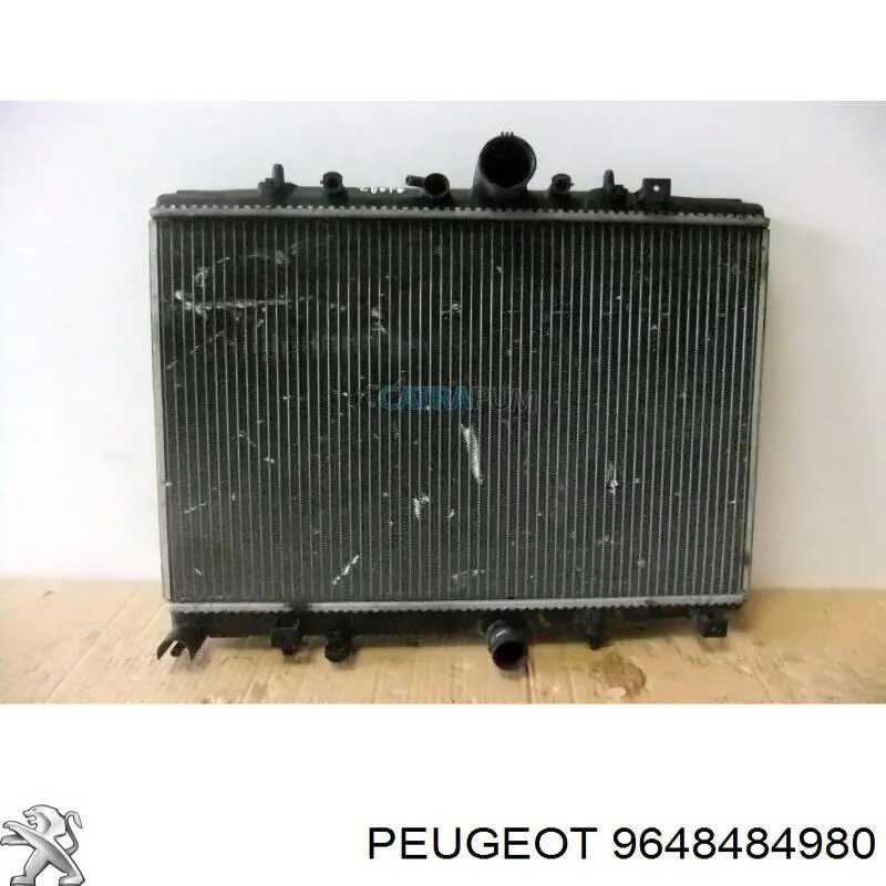 9648484980 Peugeot/Citroen Motor elevalunas, puerta delantera izquierda