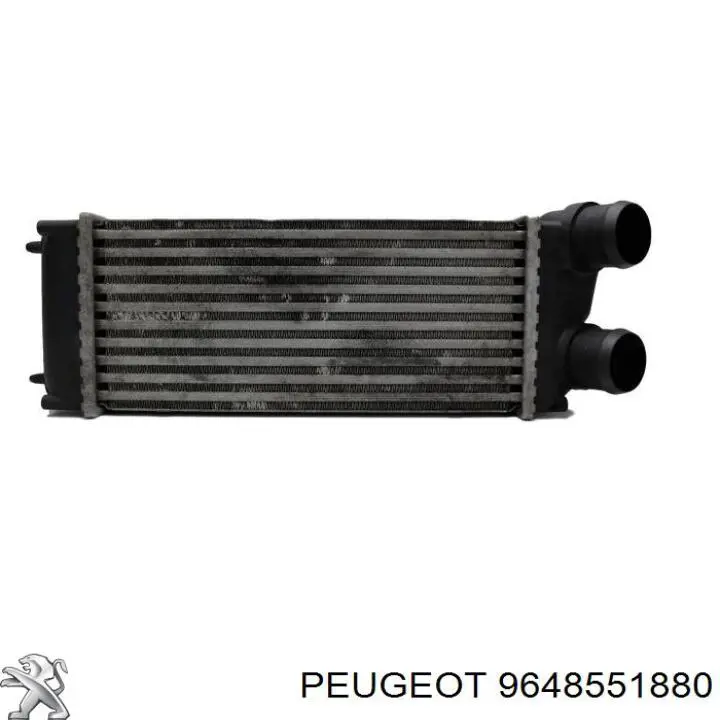 Radiador de aire de admisión Peugeot/Citroen 9648551880 precio, desde 30,49 EUR