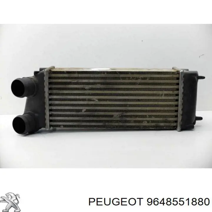 9648551880 Peugeot/Citroen intercooler