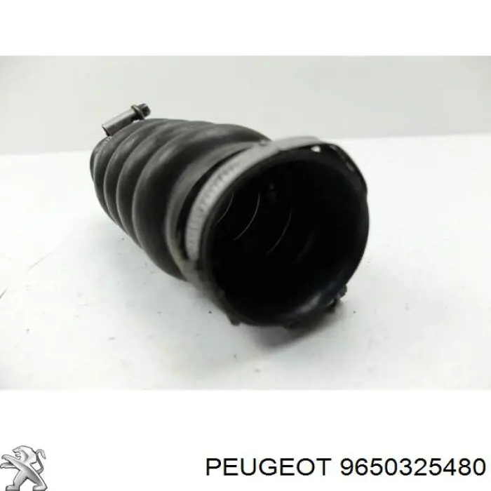 9650325480 Peugeot/Citroen 