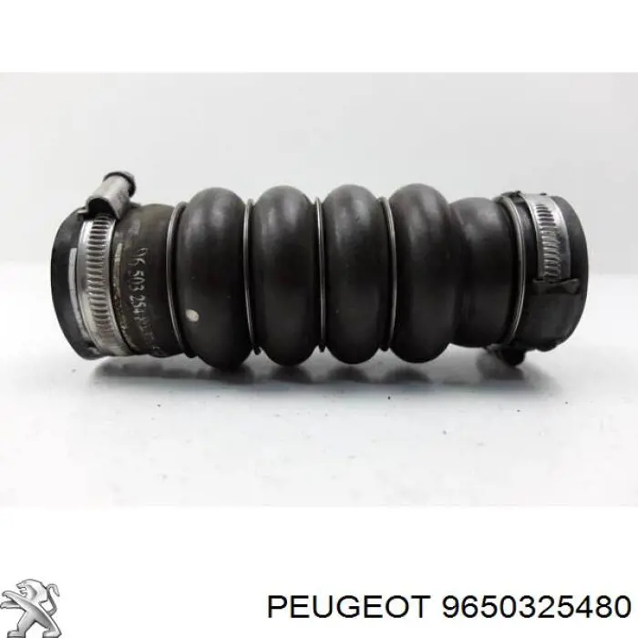  9650325480 Peugeot/Citroen