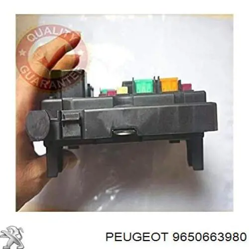 Comprar 9650663980 Peugeot/Citroen 