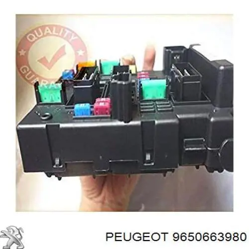 9650663980 Peugeot/Citroen 