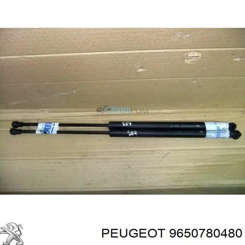 Comprar 9650780480 Peugeot/Citroen 