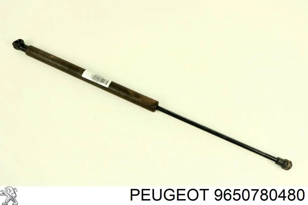  9650780480 Peugeot/Citroen