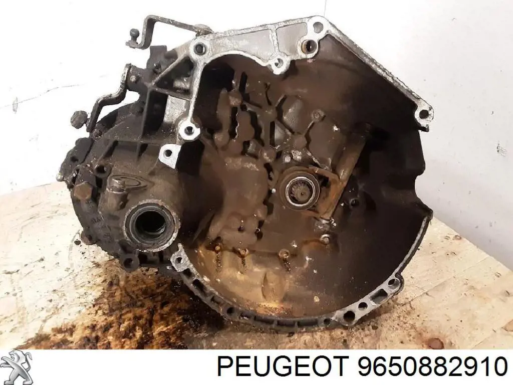9650882910 Peugeot/Citroen Transimisión manual
