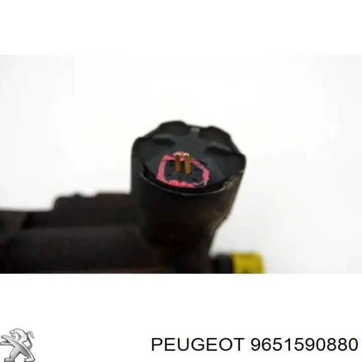 Bomba de alta presión de combustible Peugeot/Citroen 9651590880 precio, desde 85,67 EUR