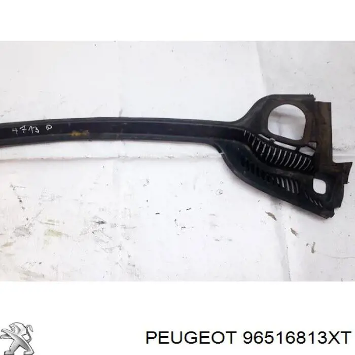 96516813XT Peugeot/Citroen