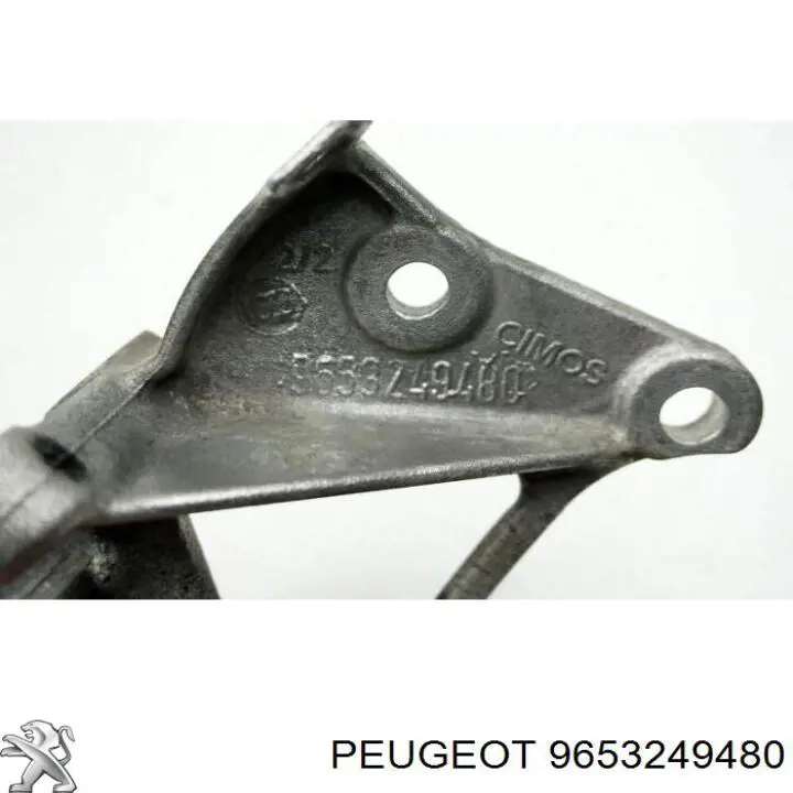 9653249480 Peugeot/Citroen 