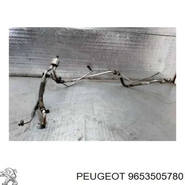 9653505780 Peugeot/Citroen