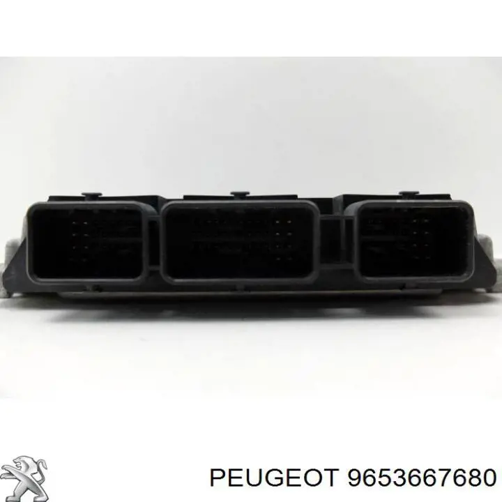 9653667680 Peugeot/Citroen 