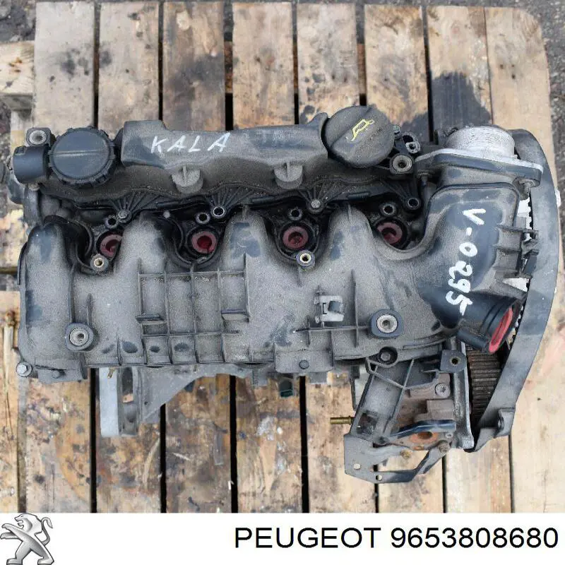 Colector de admisión izquierdo Peugeot/Citroen 9653808680 precio, desde 53,72 EUR
