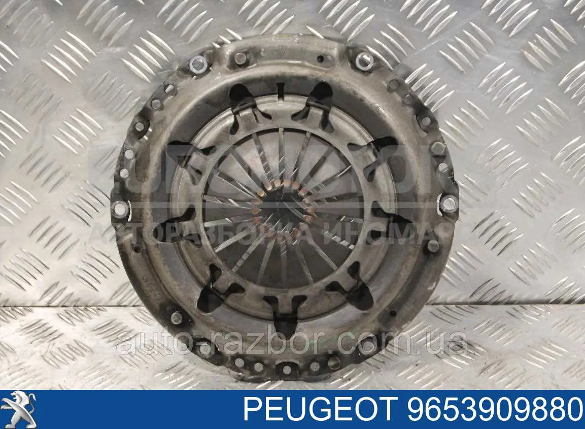 Plato de presión de embrague Peugeot/Citroen 9653909880 precio, desde 81,31 EUR