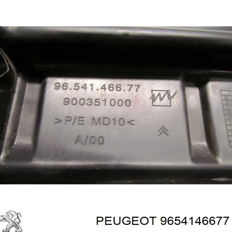 9654146677 Peugeot/Citroen