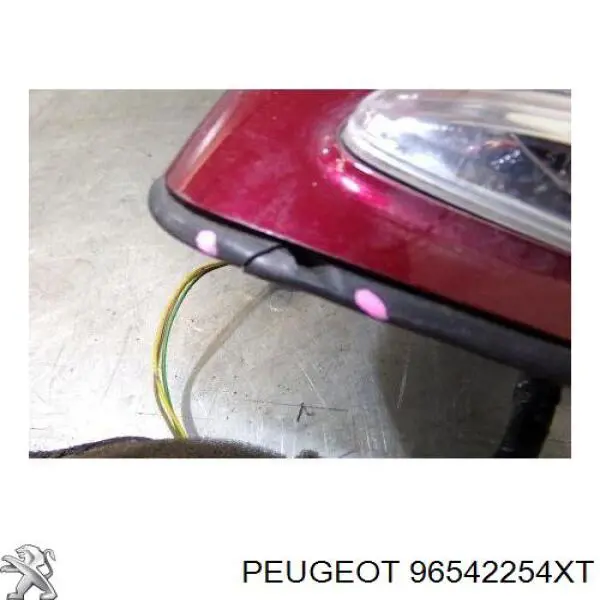 96850509XT Peugeot/Citroen