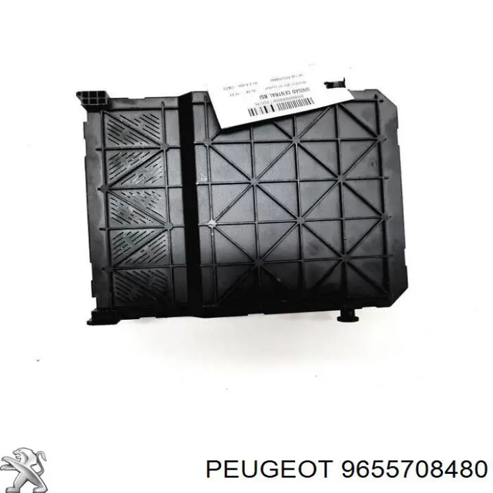 Comprar 9655708480 Peugeot/Citroen 
