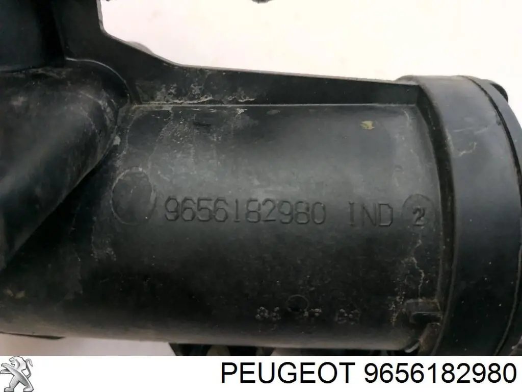 9656182980 Peugeot/Citroen termostato