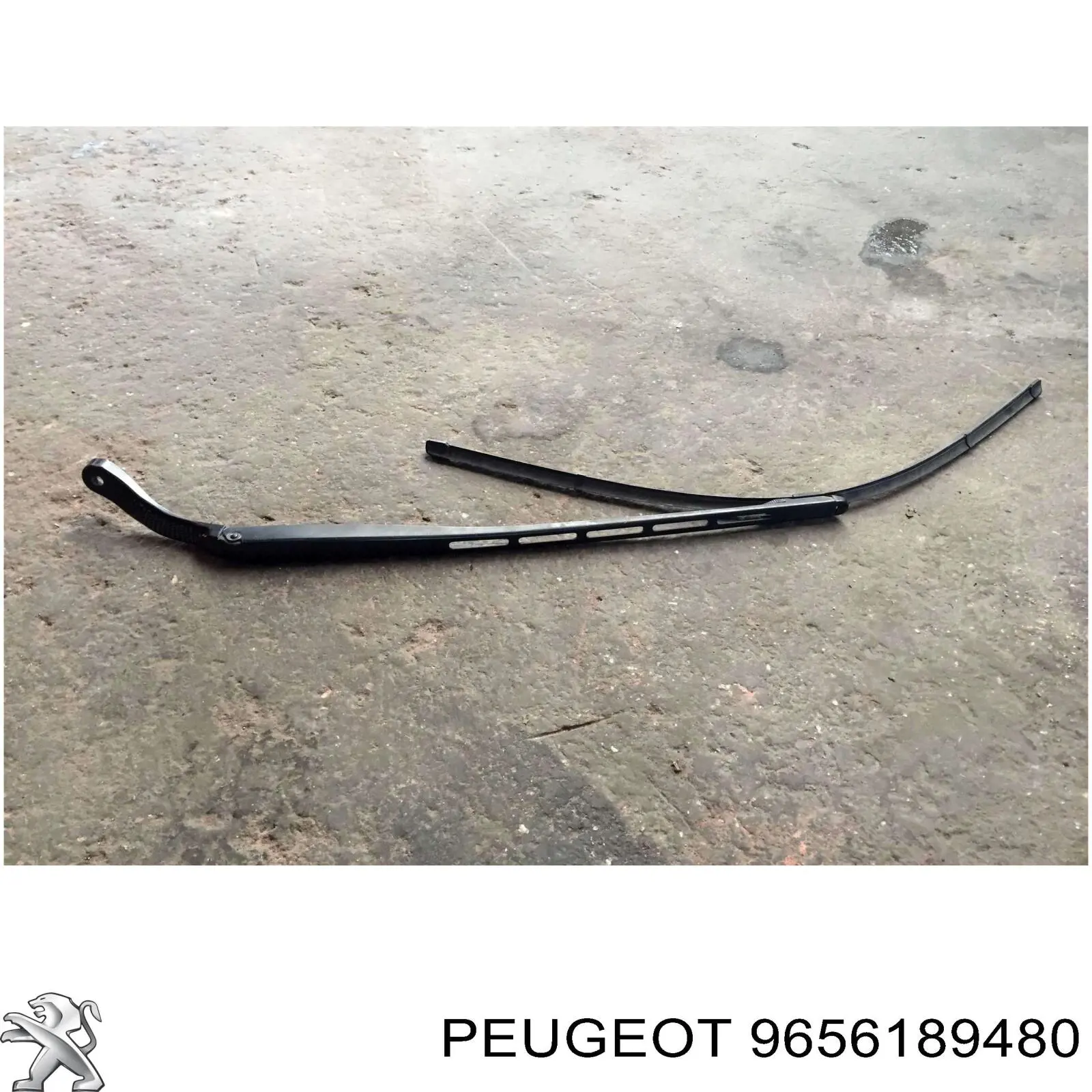 9656189480 Peugeot/Citroen