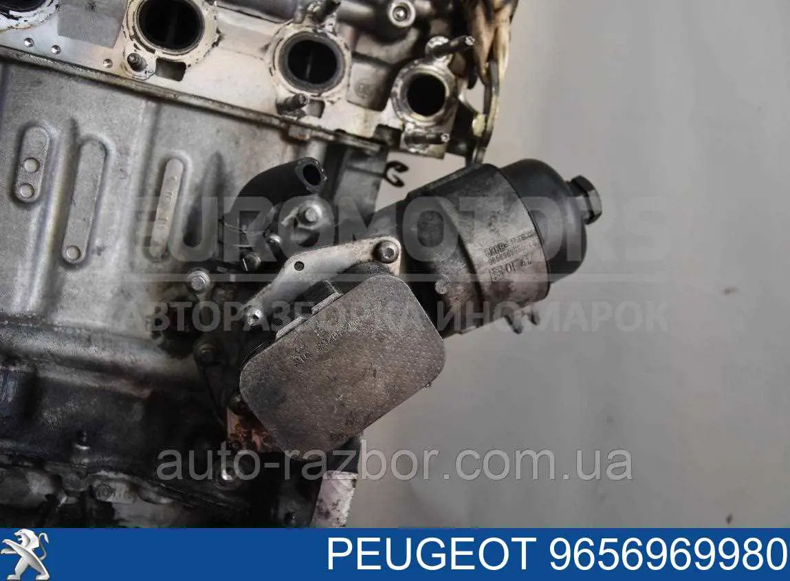  Peugeot/Citroen 9656969980 precio, desde 37,75 EUR