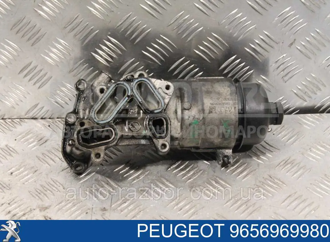 Comprar 9656969980 Peugeot/Citroen 