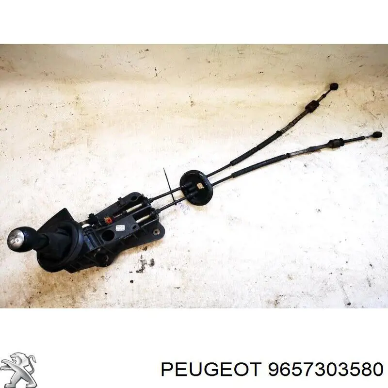  Peugeot/Citroen 9657303580 precio, desde 66,79 EUR
