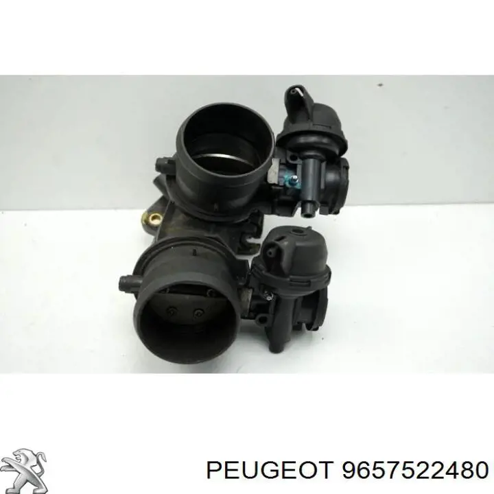 9657522480 Peugeot/Citroen Mariposa de admisión