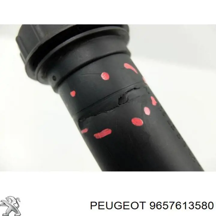 Comprar 9657613580 Peugeot/Citroen Bomba servodireccion
