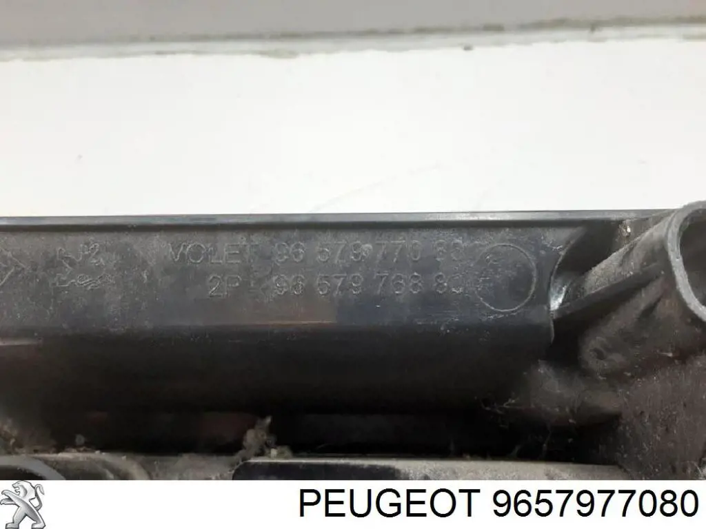 Piloto trasero izquierdo 9657977080 Peugeot/Citroen
