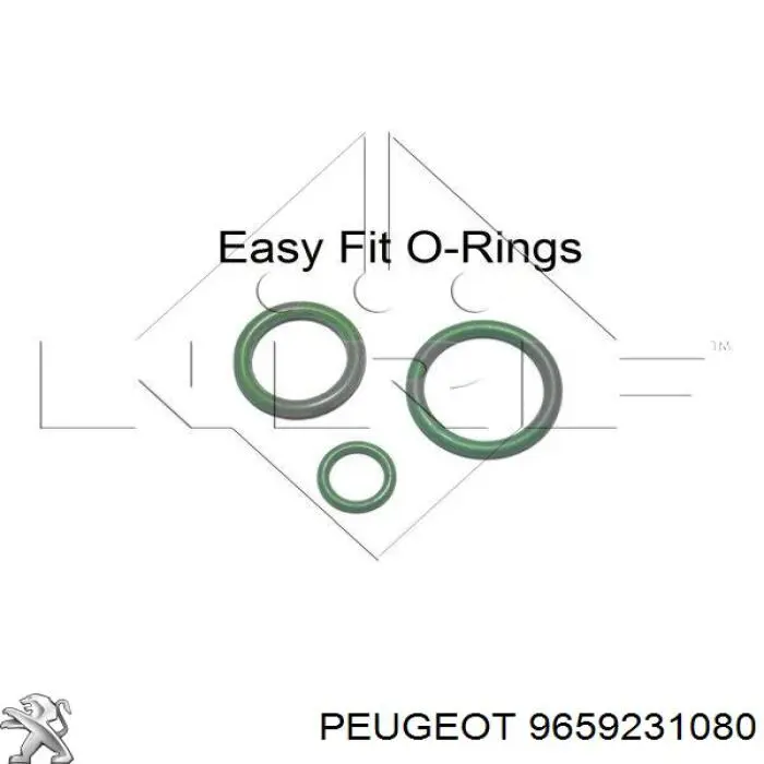 Compresor de aire acondicionado Citroen Xsara N1