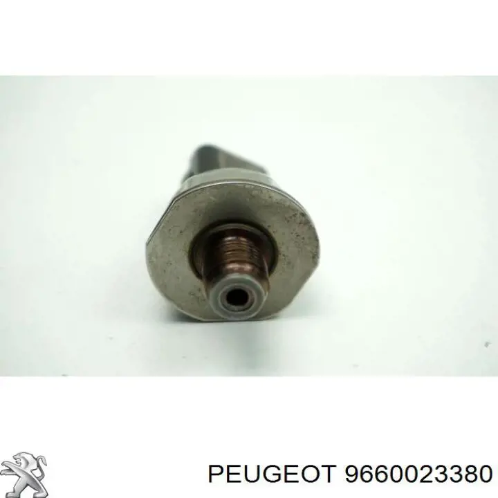  Peugeot/Citroen 9660023380
