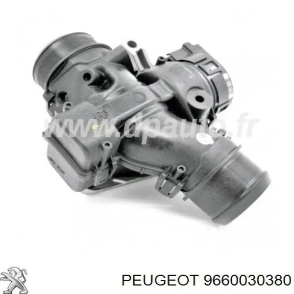 Cuerpo de aceleración completo Peugeot/Citroen 9660030380 precio, desde 50,82 EUR